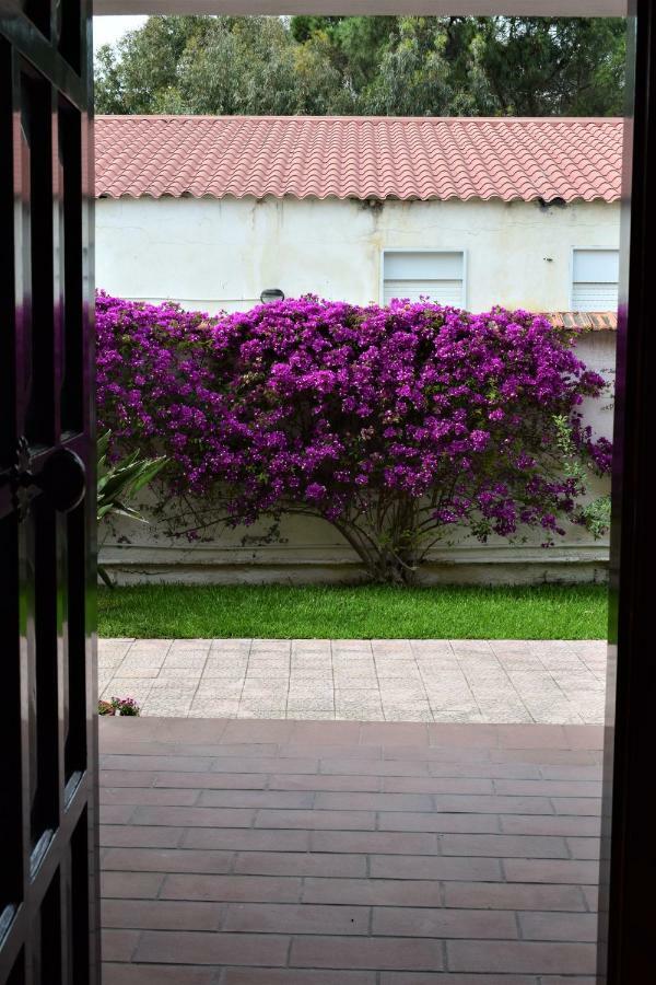דירות אגנונה באגני Casa Bedda מראה חיצוני תמונה