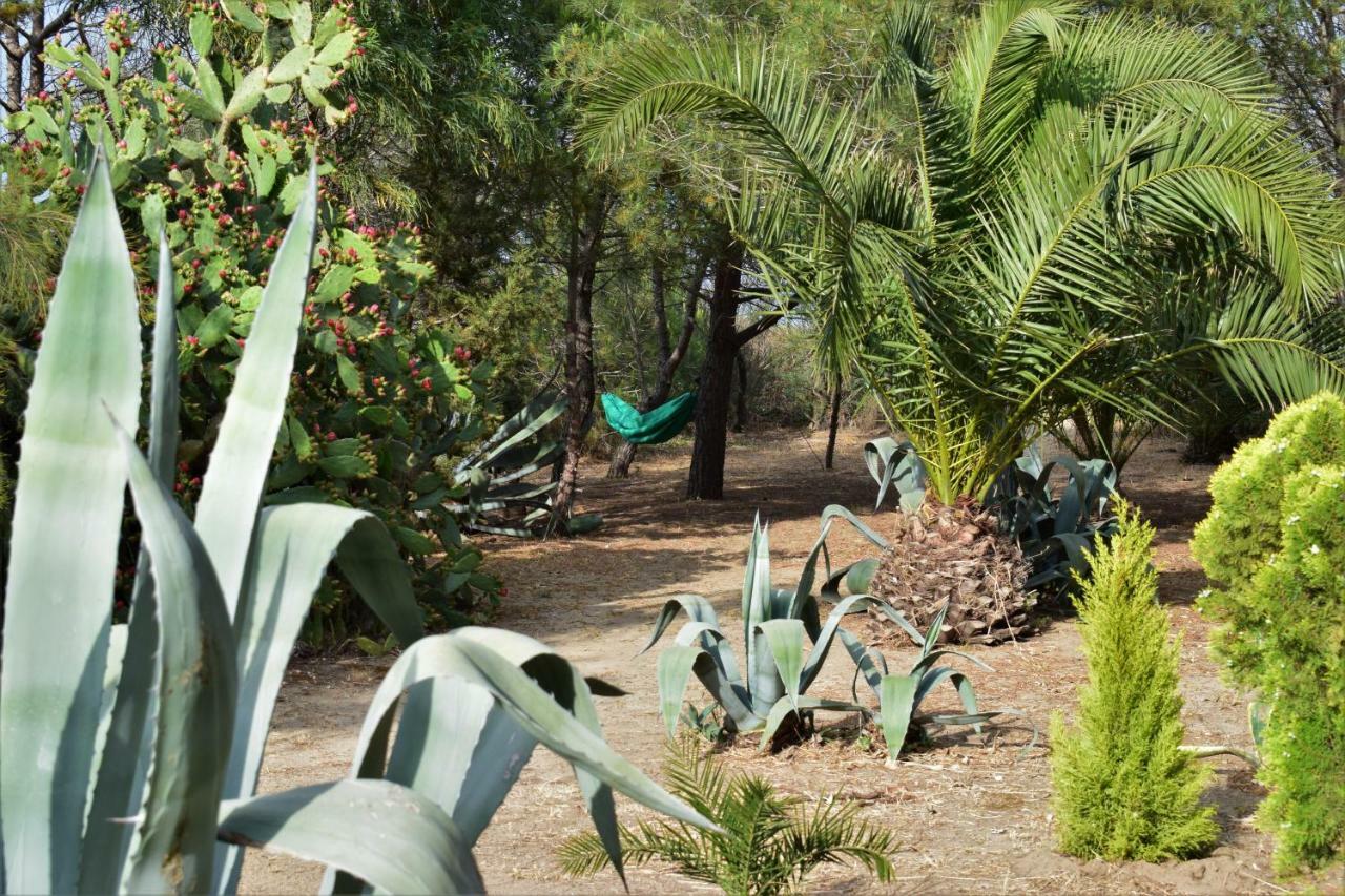 דירות אגנונה באגני Casa Bedda מראה חיצוני תמונה